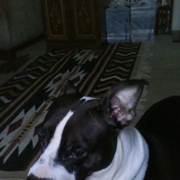 Meet your Posher, Chris - Picture 1 of 1